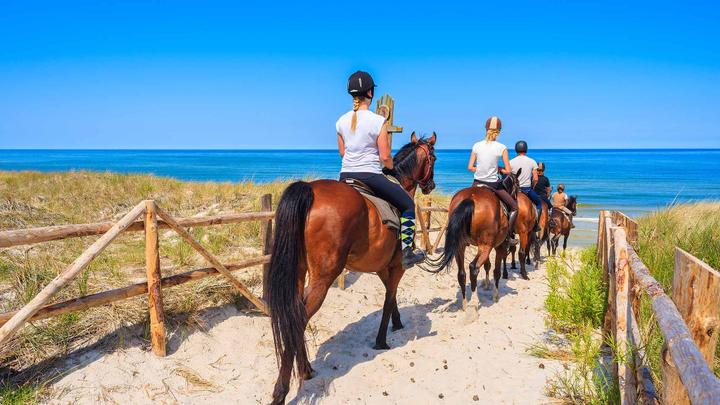 Horse riding