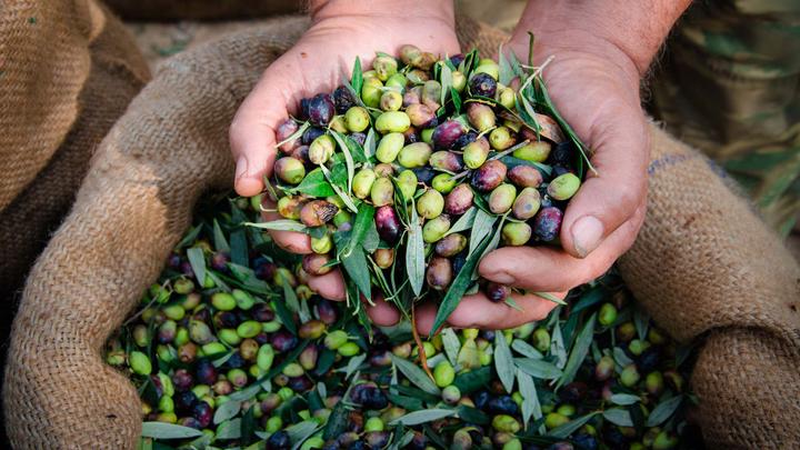 Extra virgin olive oil