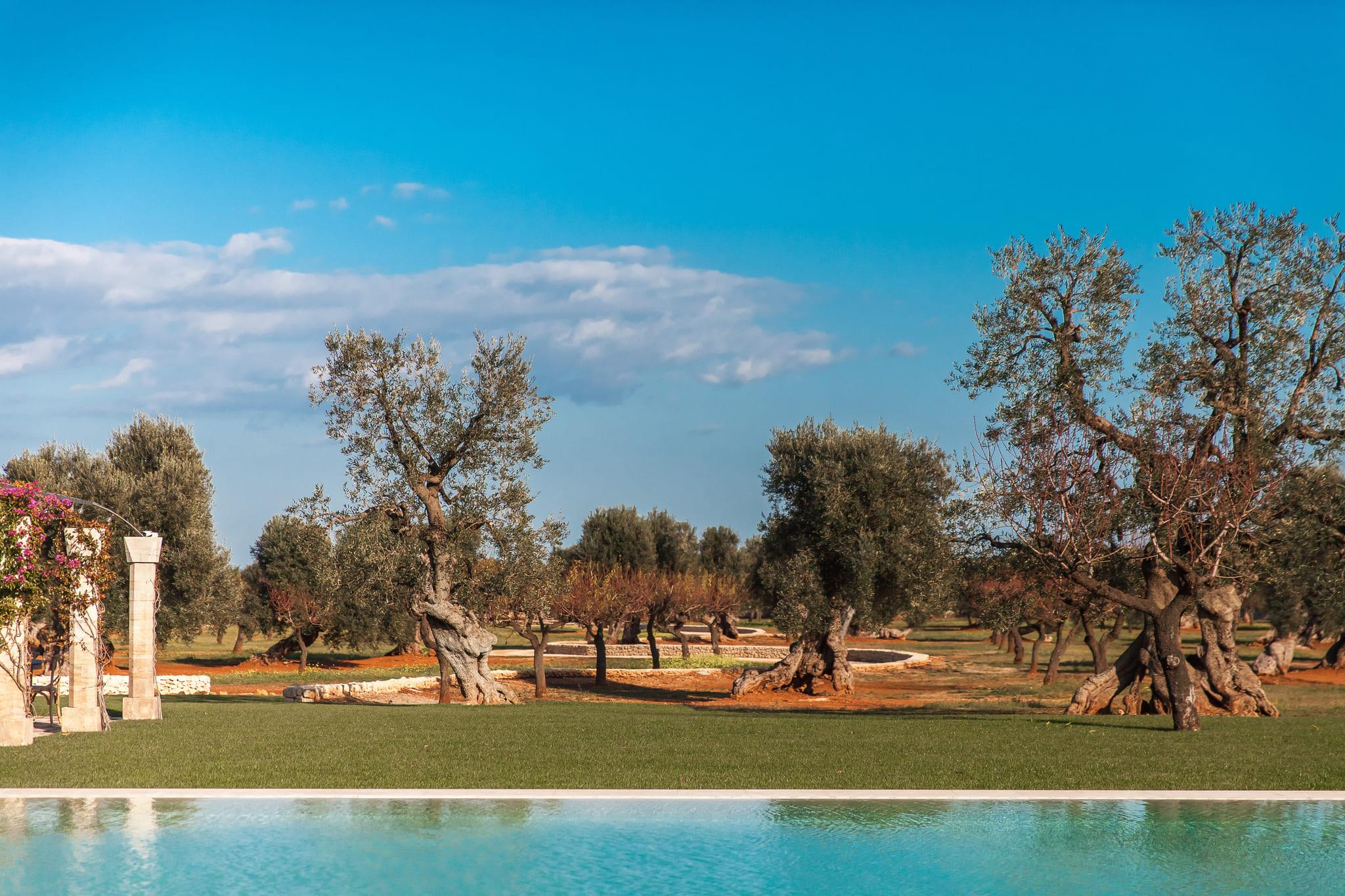 Garden, Patio, Piscina - pettolecchia.photo 3