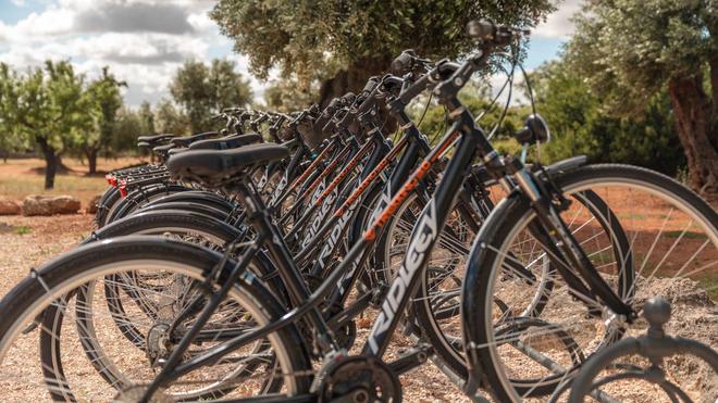 Noleggio biciclette in Puglia | Pettolecchia Collection